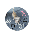 のあのきもち。（個別スタンプ：6）