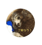 のあのきもち。（個別スタンプ：7）