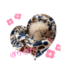 くっちゃんの日常（個別スタンプ：7）