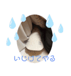 くっちゃんの日常（個別スタンプ：13）