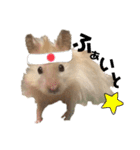 ハムスターのマロたん（個別スタンプ：14）