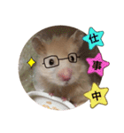 ハムスターのマロたん（個別スタンプ：21）