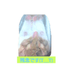 針ネズミ1（個別スタンプ：6）