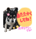千代ミュウボンちゃんの日常会話（個別スタンプ：34）