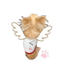 怪獣チワワのCooちゃん（個別スタンプ：4）