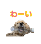アメコカめい君（個別スタンプ：22）