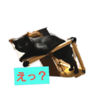 チビ＆モカ日常（個別スタンプ：10）