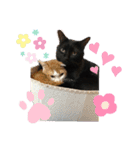 チビ＆モカ日常（個別スタンプ：15）
