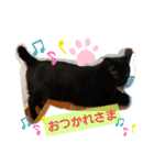 チビ＆モカ日常（個別スタンプ：18）