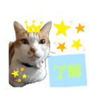 チビ＆モカ日常（個別スタンプ：21）