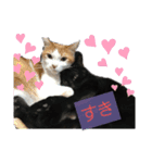 チビ＆モカ日常（個別スタンプ：23）