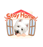 白犬ウエスティのスタンプです④（個別スタンプ：8）