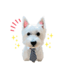 白犬ウエスティのスタンプです④（個別スタンプ：23）