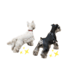 白犬ウエスティのスタンプです④（個別スタンプ：24）