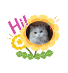 ココとはなちゃん（個別スタンプ：5）