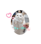 ココとはなちゃん（個別スタンプ：7）