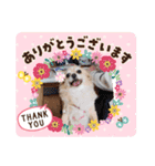 ココとはなちゃん（個別スタンプ：9）