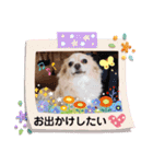 ココとはなちゃん（個別スタンプ：14）