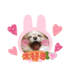 ココとはなちゃん（個別スタンプ：15）
