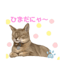 麦です。（個別スタンプ：12）