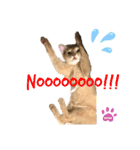 麦です。（個別スタンプ：13）
