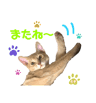 麦です。（個別スタンプ：16）