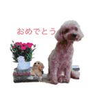 毎日とにあずだよ（個別スタンプ：1）