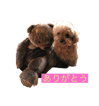 毎日とにあずだよ（個別スタンプ：6）