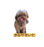 毎日とにあずだよ（個別スタンプ：10）