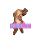毎日とにあずだよ（個別スタンプ：12）