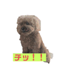 毎日とにあずだよ（個別スタンプ：14）
