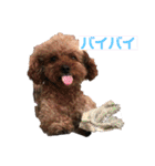 毎日とにあずだよ（個別スタンプ：15）