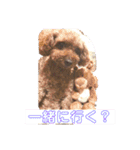 毎日とにあずだよ（個別スタンプ：21）
