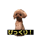 毎日とにあずだよ（個別スタンプ：22）