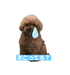毎日とにあずだよ（個別スタンプ：25）