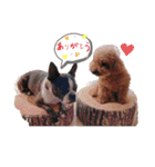 毎日とにあずだよ（個別スタンプ：28）