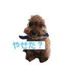毎日とにあずだよ（個別スタンプ：29）