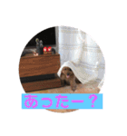 毎日とにあずだよ（個別スタンプ：30）