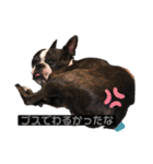 毎日とにあずだよ（個別スタンプ：33）