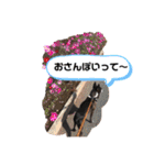 毎日とにあずだよ（個別スタンプ：34）