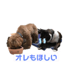 毎日とにあずだよ（個別スタンプ：40）