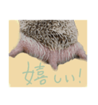 トミーちゃん☽︎‪︎.*·̩͙‬（個別スタンプ：1）