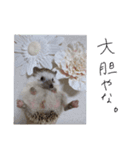 トミーちゃん☽︎‪︎.*·̩͙‬（個別スタンプ：2）