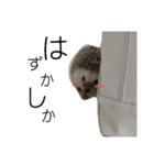 トミーちゃん☽︎‪︎.*·̩͙‬（個別スタンプ：3）