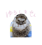 トミーちゃん☽︎‪︎.*·̩͙‬（個別スタンプ：5）