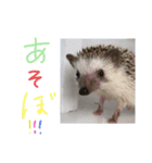 トミーちゃん☽︎‪︎.*·̩͙‬（個別スタンプ：7）