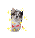 タクの日常パート2（個別スタンプ：8）