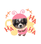 タクの日常パート2（個別スタンプ：9）