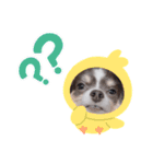 タクの日常パート2（個別スタンプ：12）