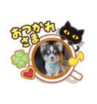 タクの日常パート2（個別スタンプ：13）